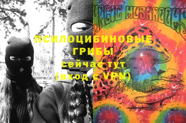 гидра Балахна