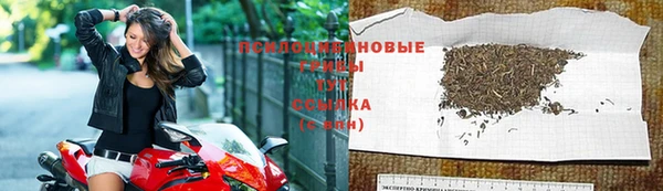 гидра Балахна