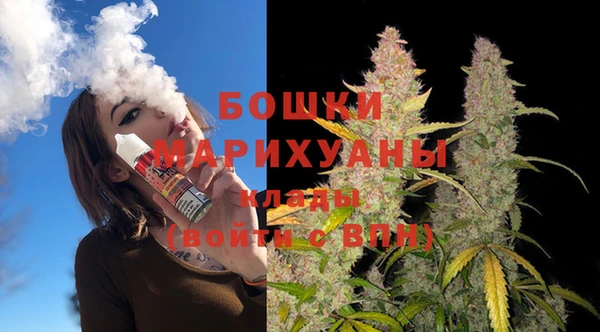гидра Балахна