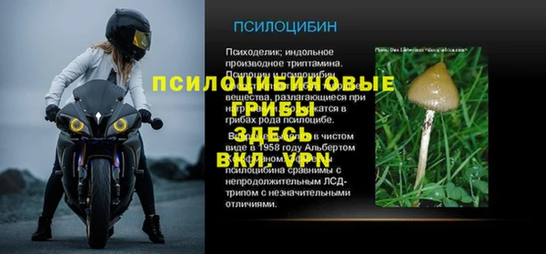 spice Балабаново