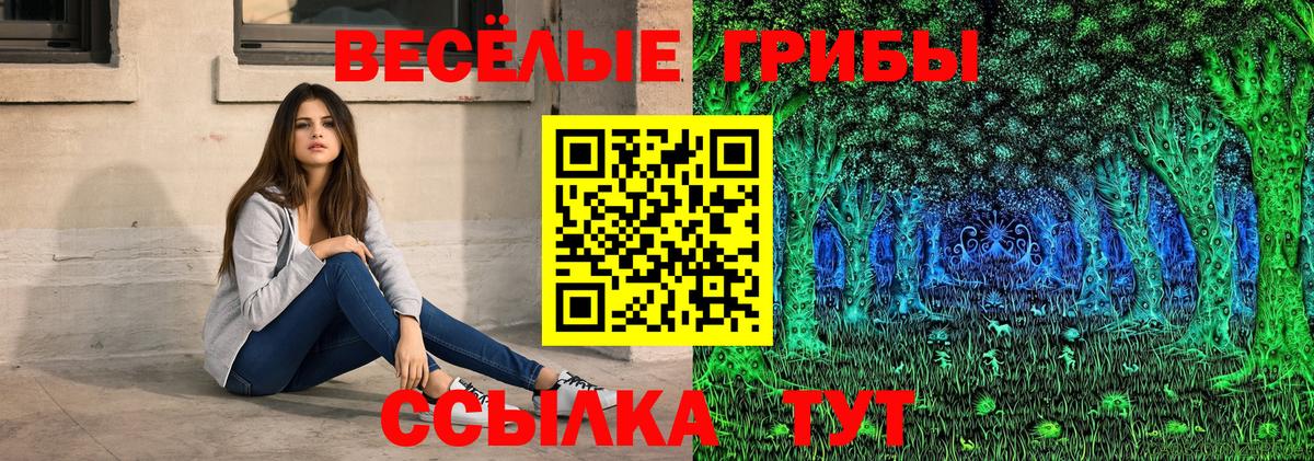 Ессентуки  Галлюциногенные грибы мухоморы  Вход с VPN 