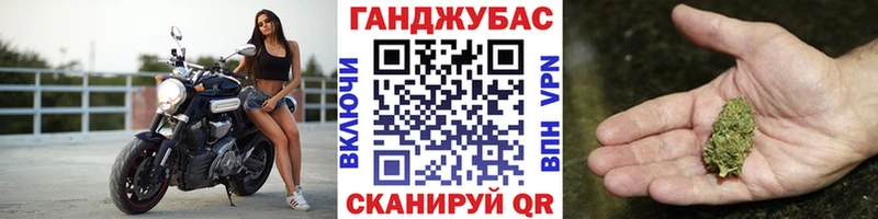 МАРИХУАНА сатива где найти Ессентуки